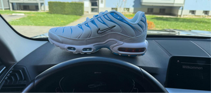 Nike tn plus blue