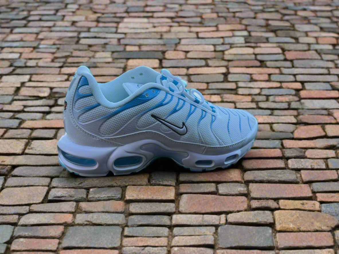 Nike tn plus blue