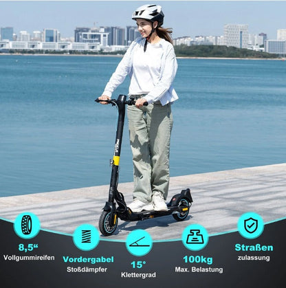 Mega Motion E-Scooter