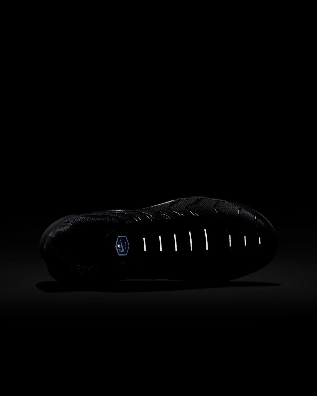 Nike Air Max Plus