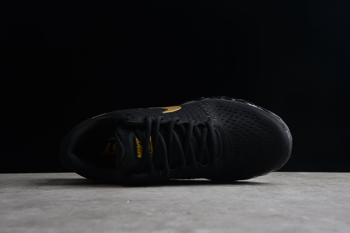 Nike Air Max 2017 in einer auffälligen Black/Gold-Farbkombination.
