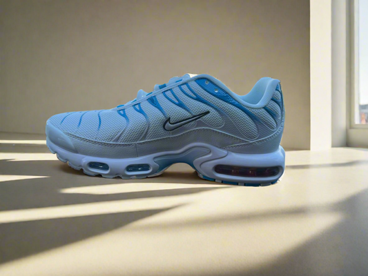 Nike tn plus blue