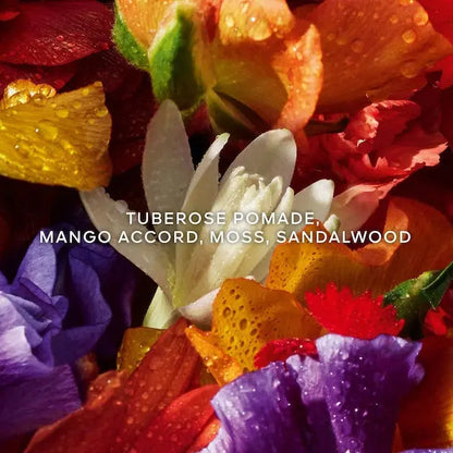 PARFUM AQUA ALLEGORIA FLORABLOOM FORTE
Eau de Parfum VLP.LIFE