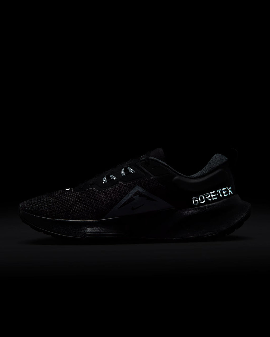Nike Juniper Trail 2 GORE-TEX