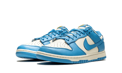 Nike Dunk Low Coast (W)