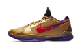 Nike Kobe 5 Protro Undefeated Hall of Fame