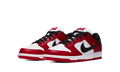 Nike SB Dunk Low J-Pack Chicago