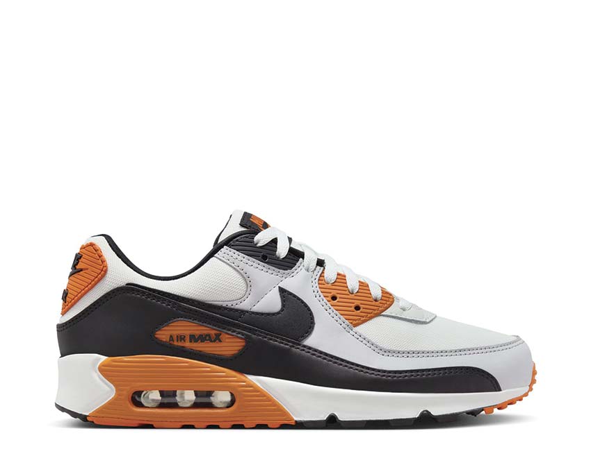 Nike Air Max 90, Pure Platinum and Monarch